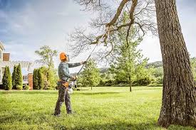 Best Lawn Grading and Leveling  in Boonton, NJ