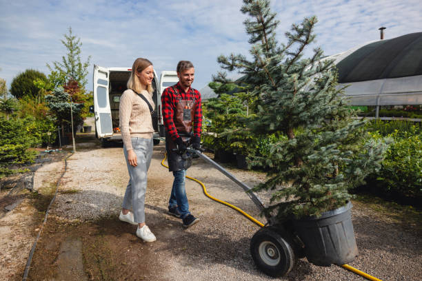 Lawn Drainage Solutions in Boonton, NJ